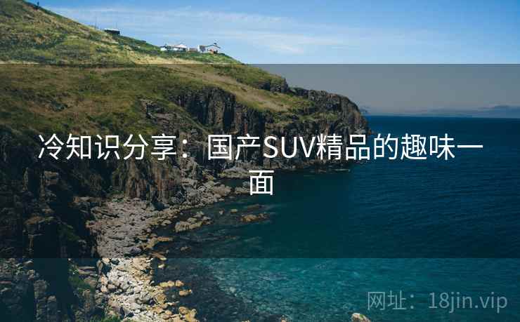 冷知识分享:国产SUV精品的趣味一面 第2张 冷知识分享:国产SUV精品的趣味一面 第2张
