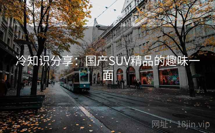 冷知识分享：国产SUV精品的趣味一面