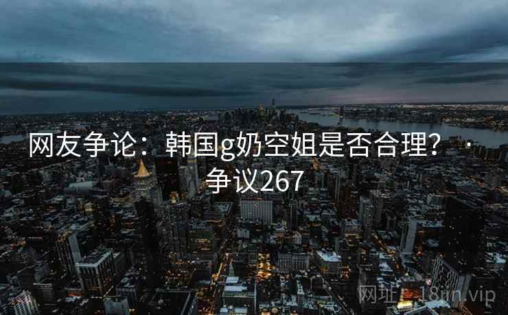 网友争论：韩国g奶空姐是否合理？ · 争议267